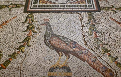 mosaic tiles in the floor of the crypt showing peacocks