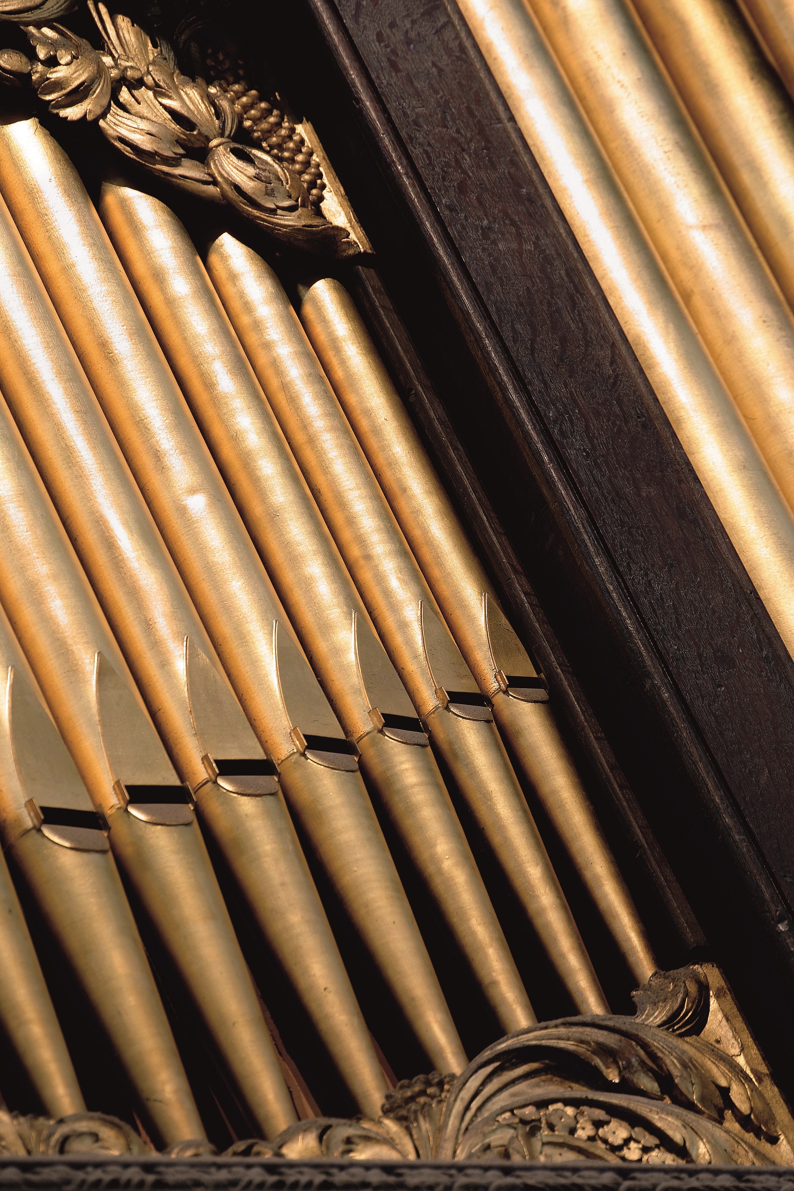 Pipework of the great organ