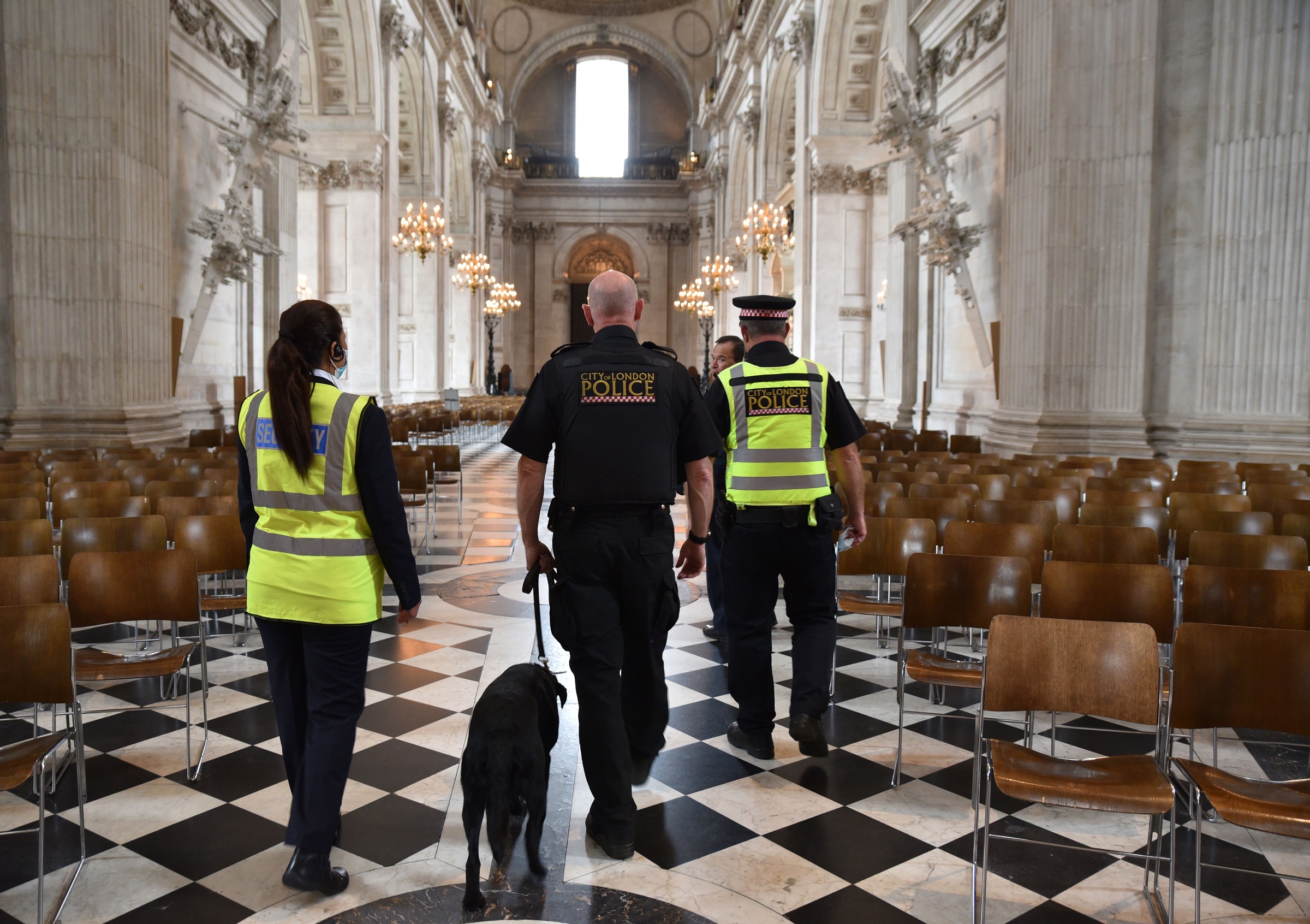 police security nave guard dog safety