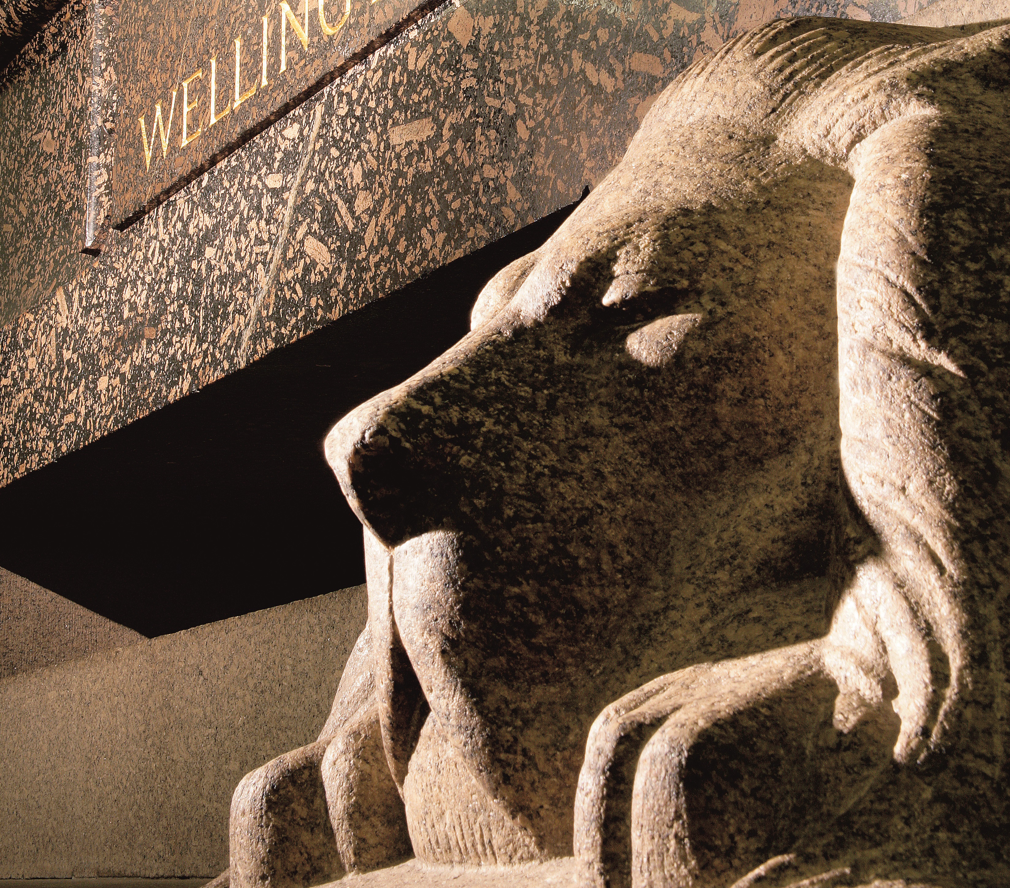 The granite lion supporting the tomb of the Duke of Wellington in the crypt