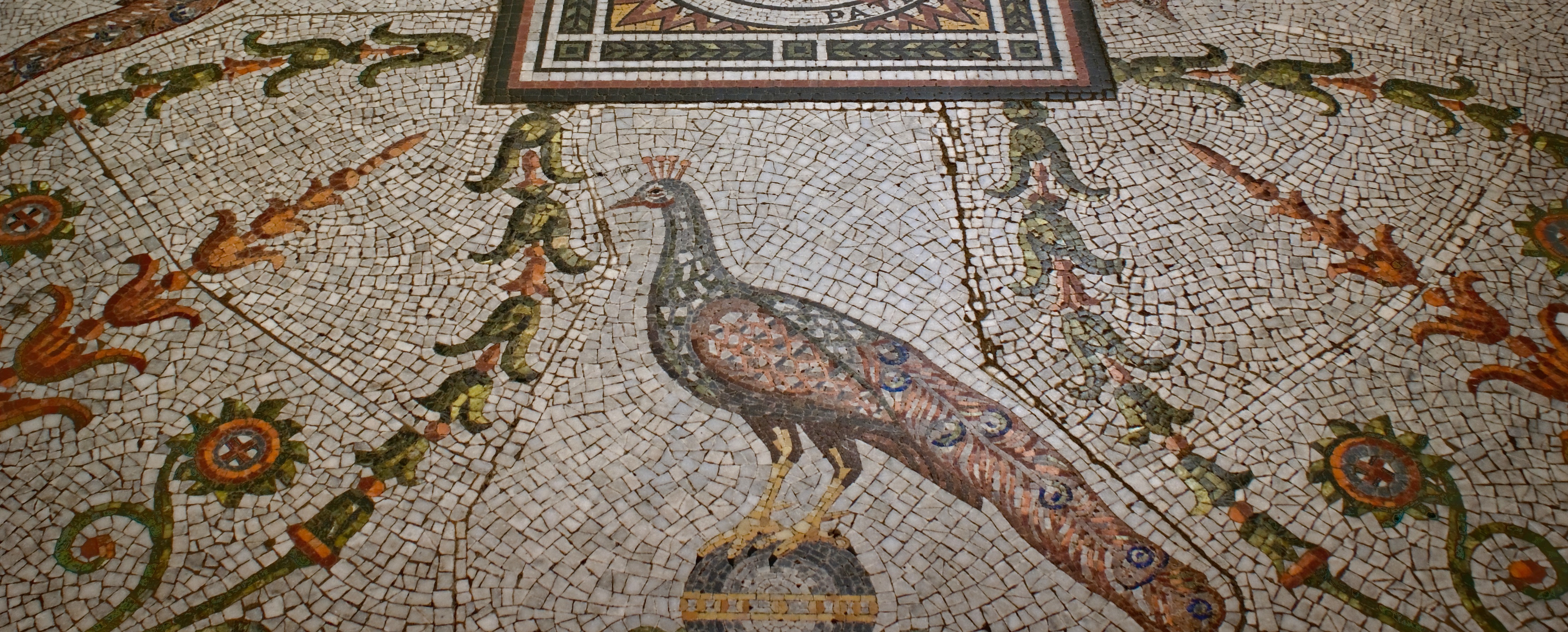 mosaic tiles in the floor of the crypt showing peacocks