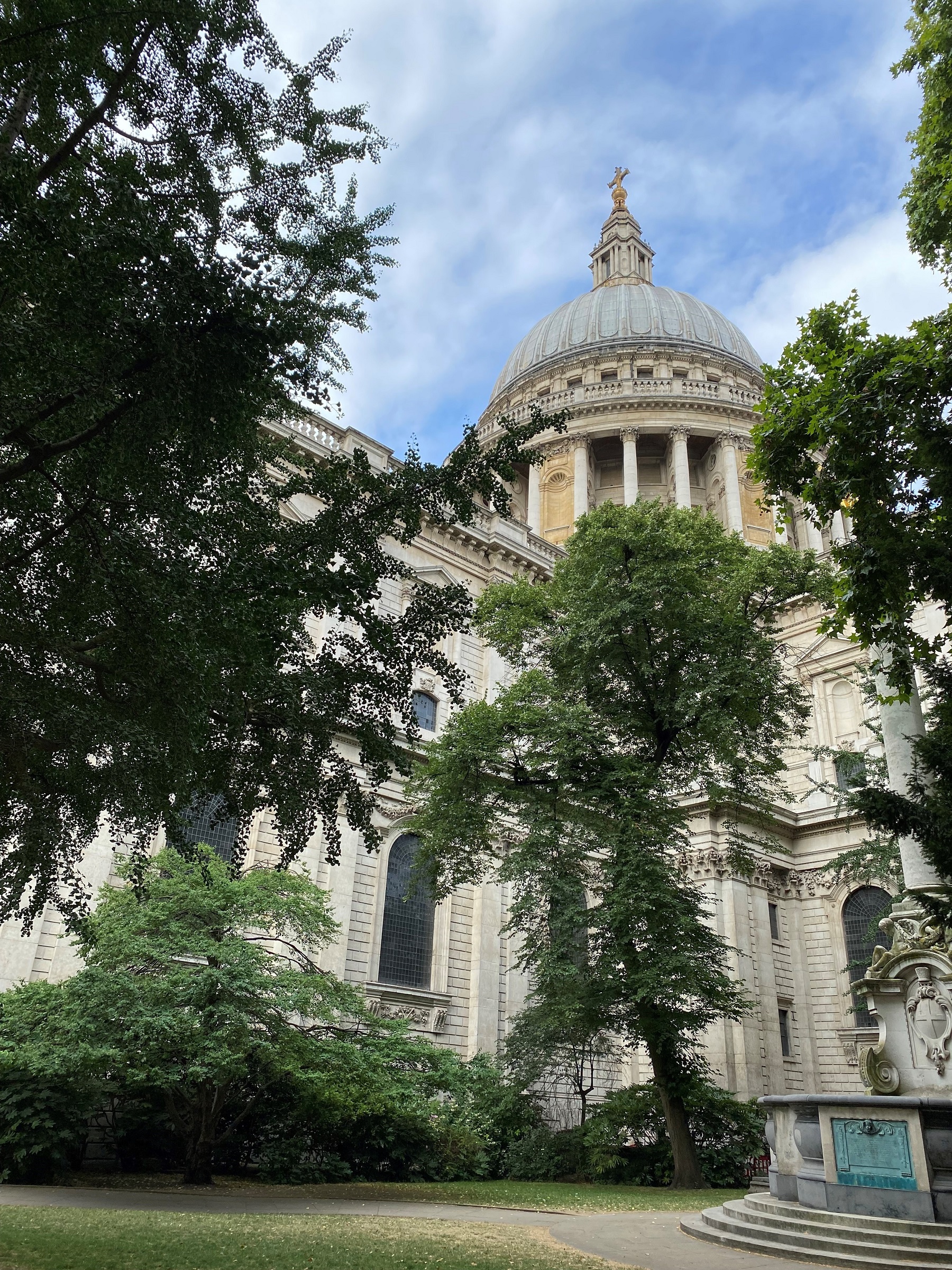 Looking up towards the dome through trees from the north east side of the cathedral