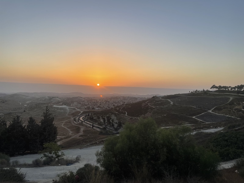 A sunrise over hilly landscape with a town in the distance and grassy slopes and trees in the foreground