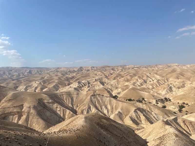 a desert stretches to the horizon