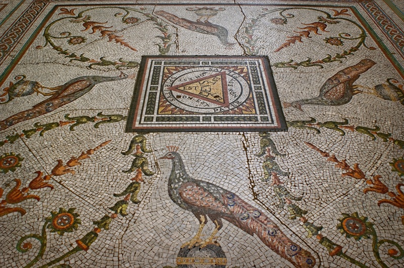 the mosaics found on the floor of the cathedral showing peacocks 