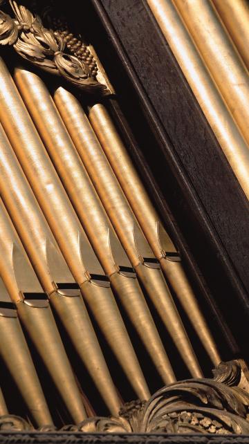 Pipework of the great organ