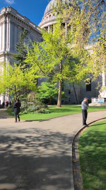 How to get to St. Paul Park by Bus?