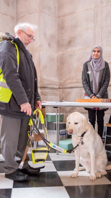 disabled access day guide dog