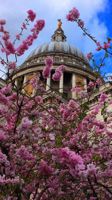 the dome in spring with flowers