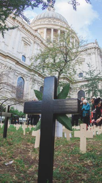 The Garden of Remembrance, with crosses and poppies, is shown in the foreground with the Cathedral behind