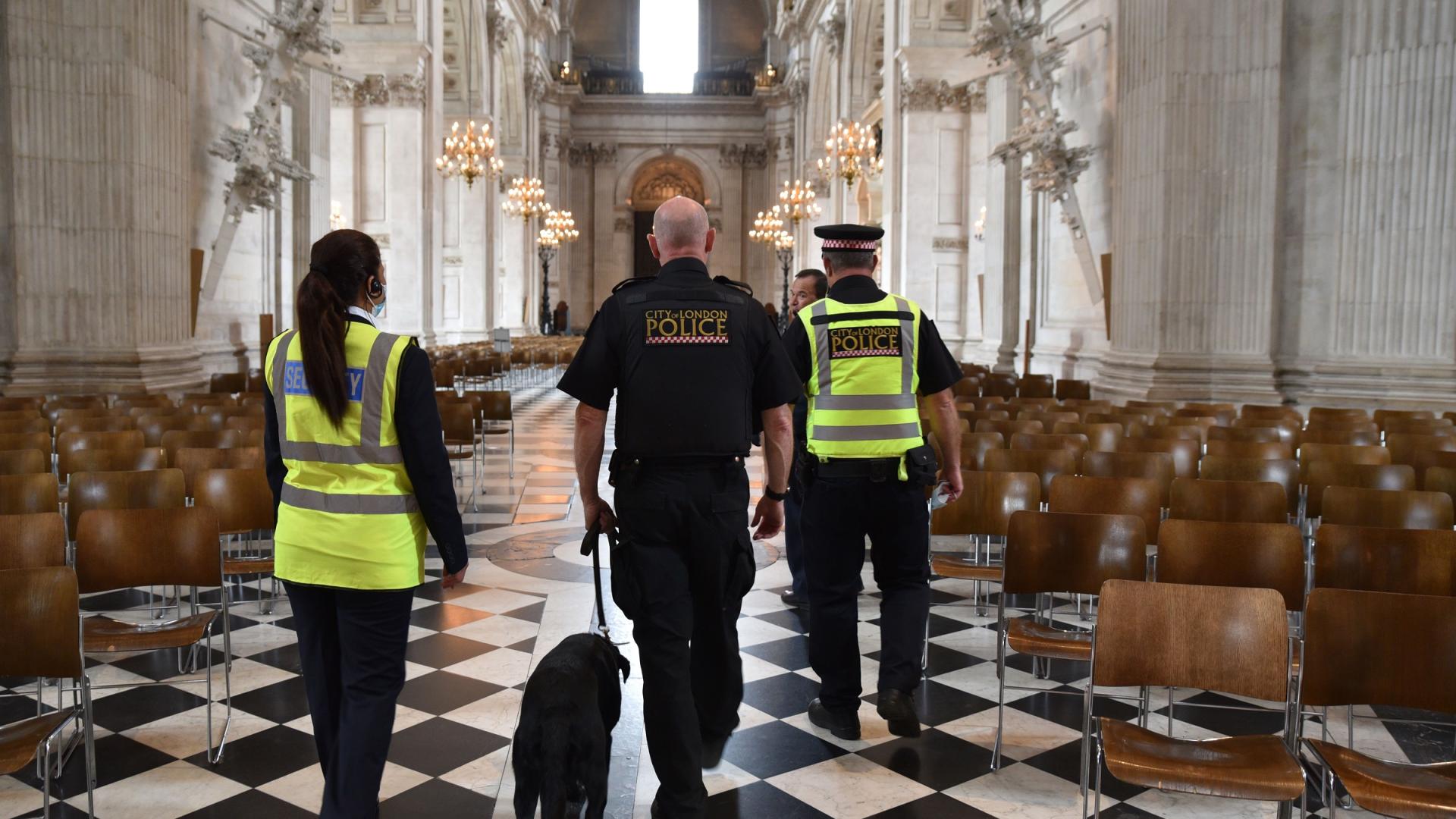 police security nave guard dog safety
