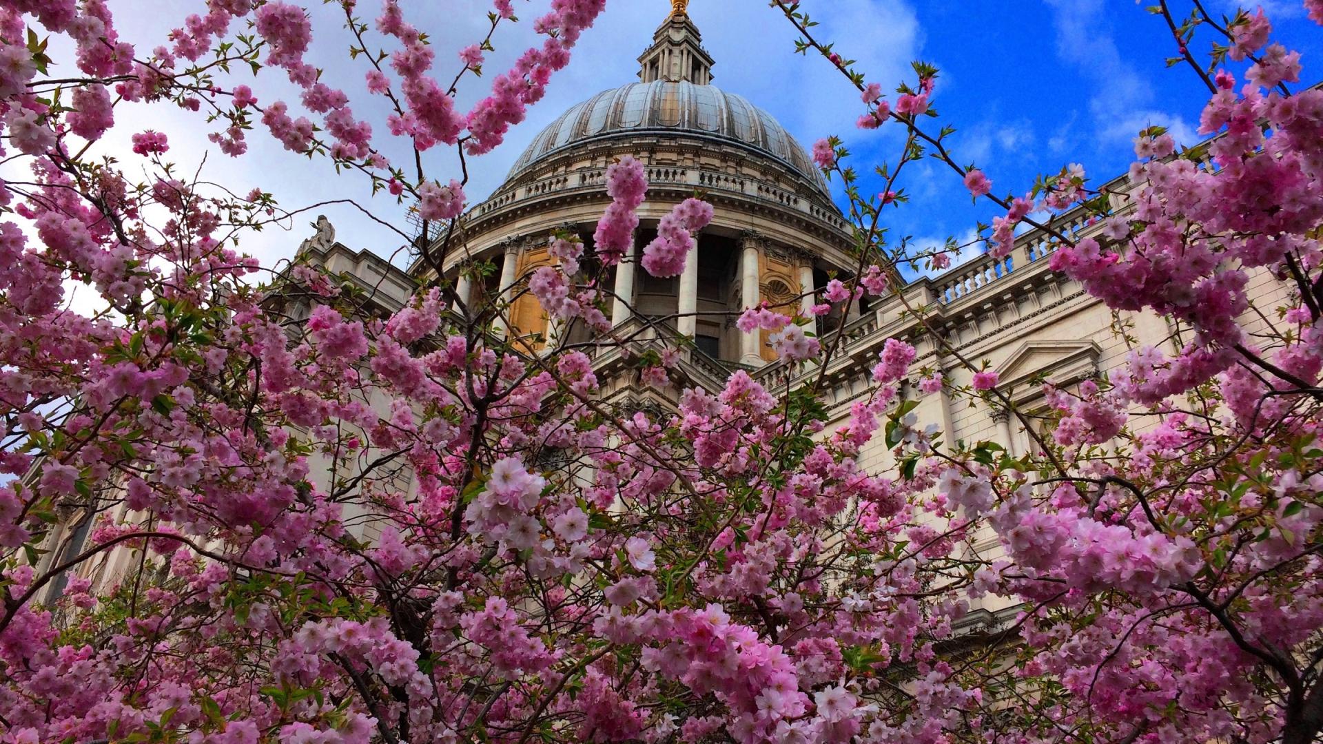 the dome in spring with flowers