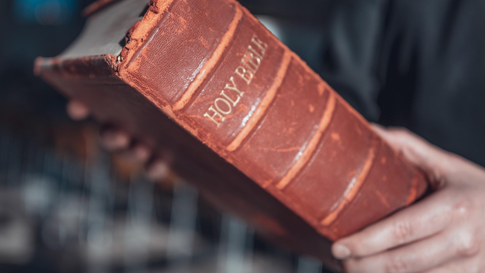 holy bible 