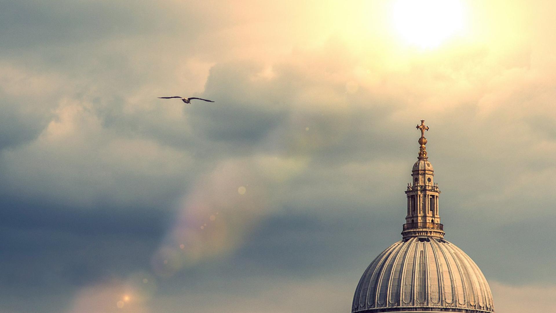 The dome of St Paul's with sunlight breaking through clouds and a bird flying in the foreground