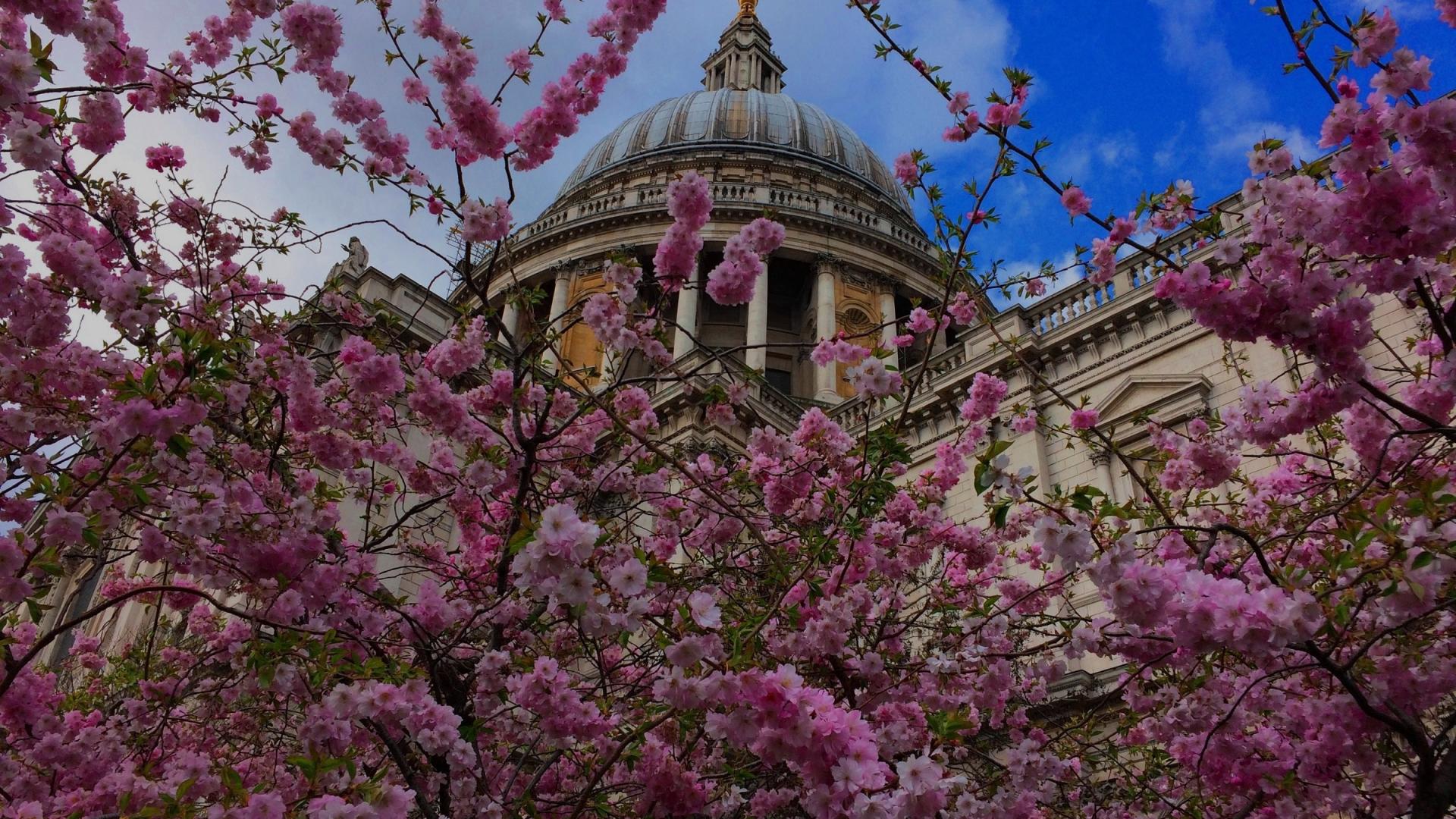 the dome in spring with flowers