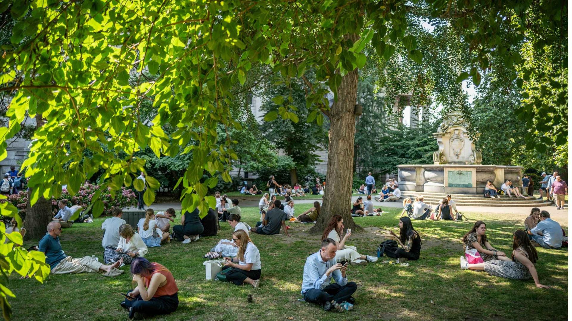 People sitting under a leafy tree in the churchyard gardens at St Paul's Cathedral