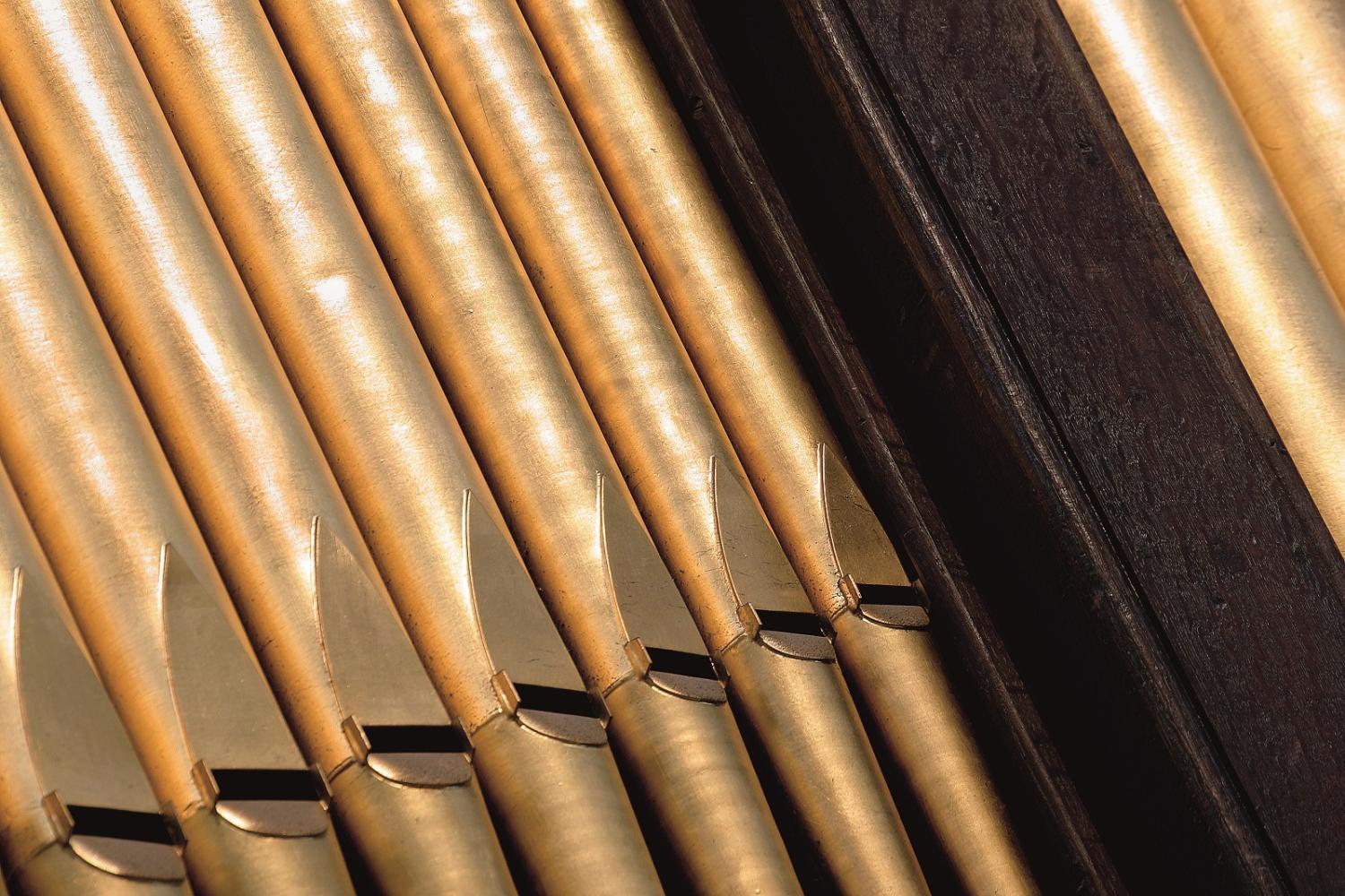 Pipework of the great organ