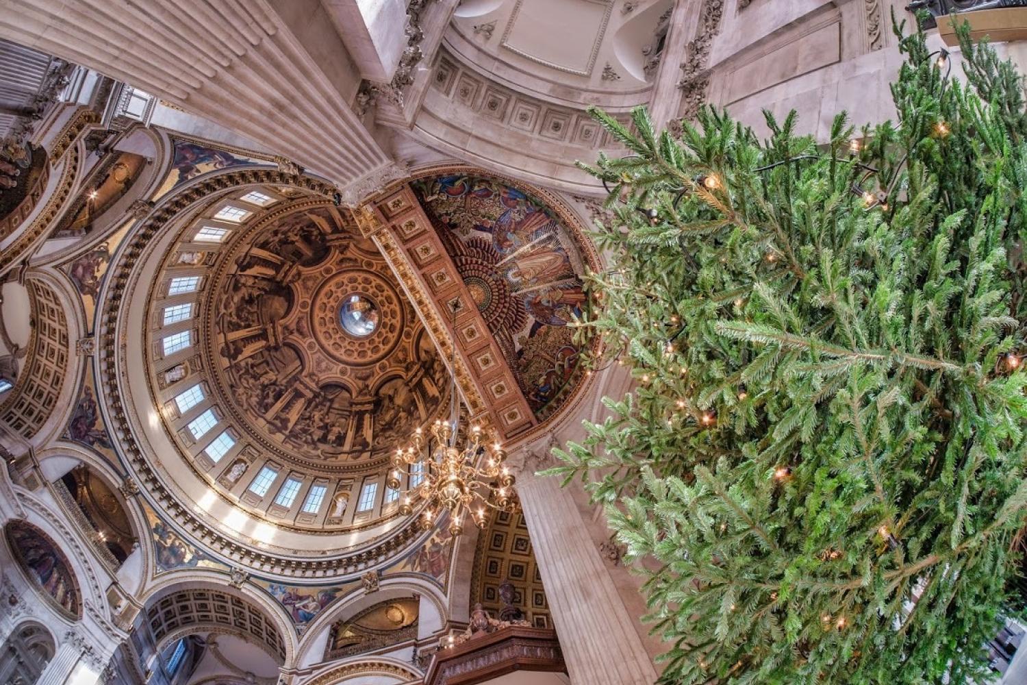 Looking up into the dome from the bottom of the Christmas tree