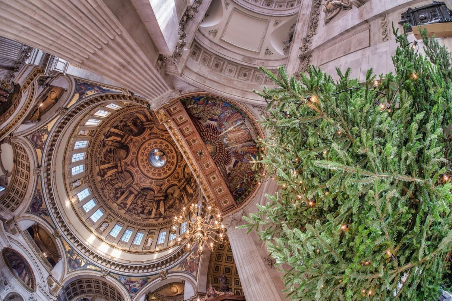 A view looking directly up at the Cathedral Dome with Christmas tree