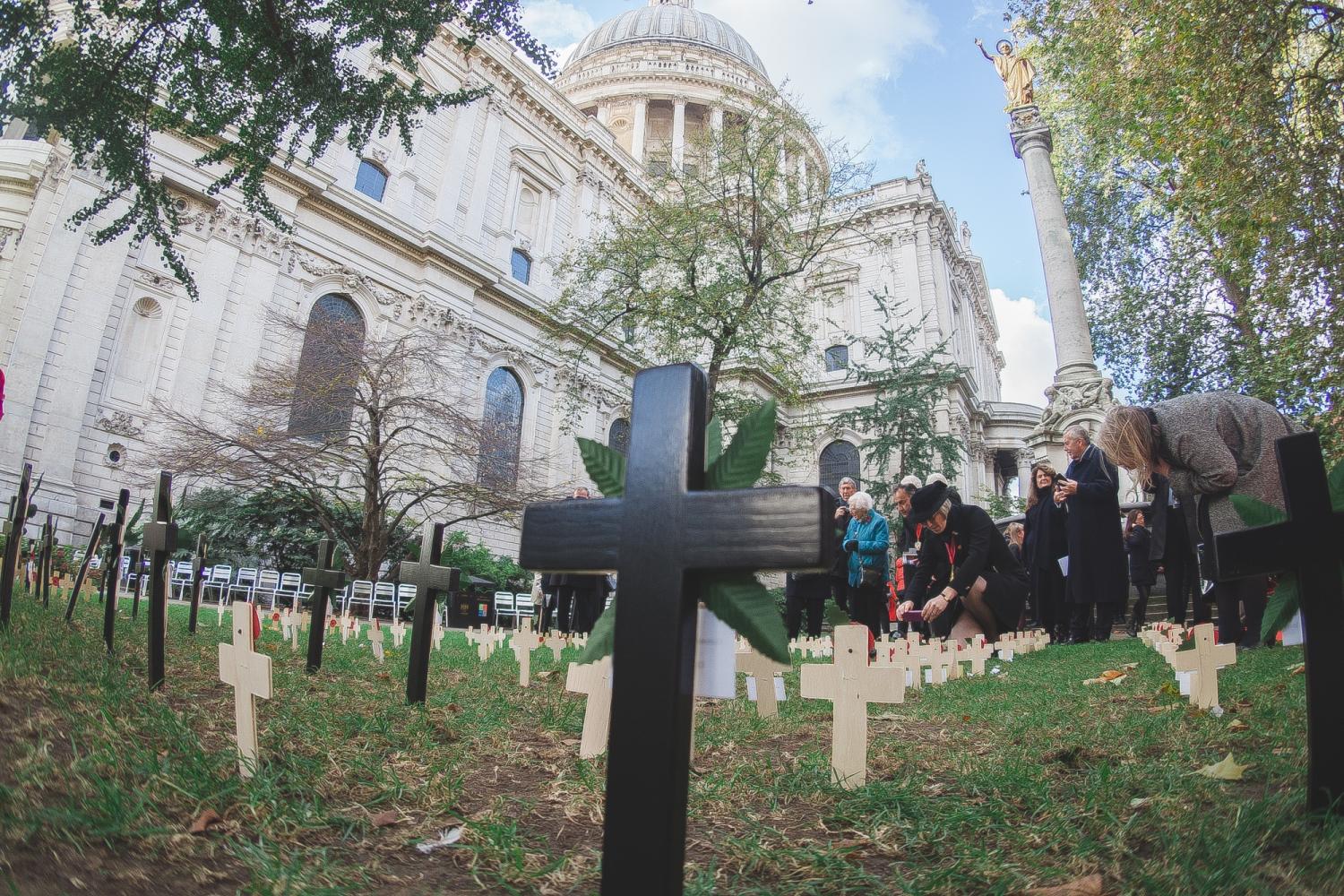 The Garden of Remembrance, with crosses and poppies, is shown in the foreground with the Cathedral behind