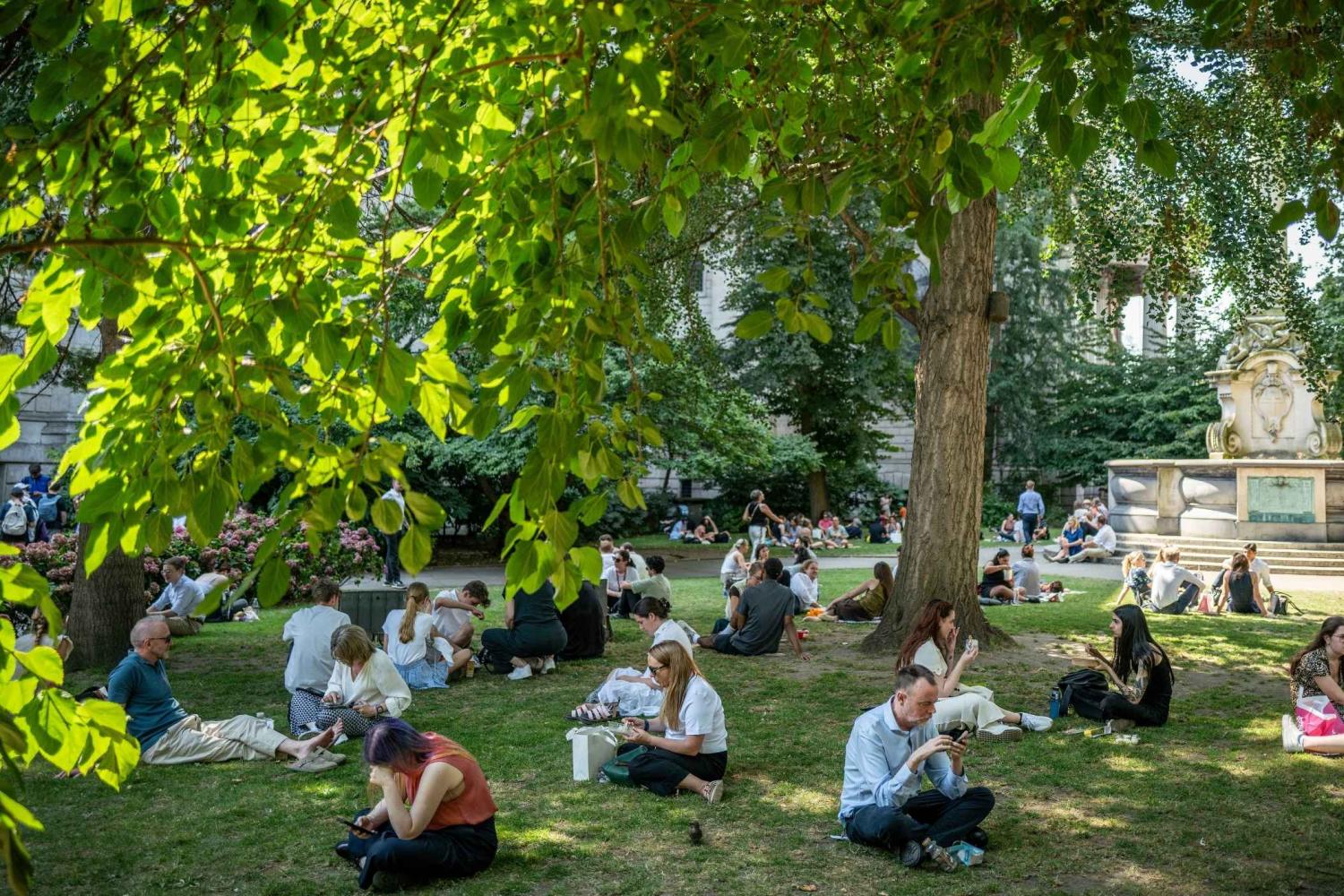 People sitting under a leafy tree in the churchyard gardens at St Paul's Cathedral