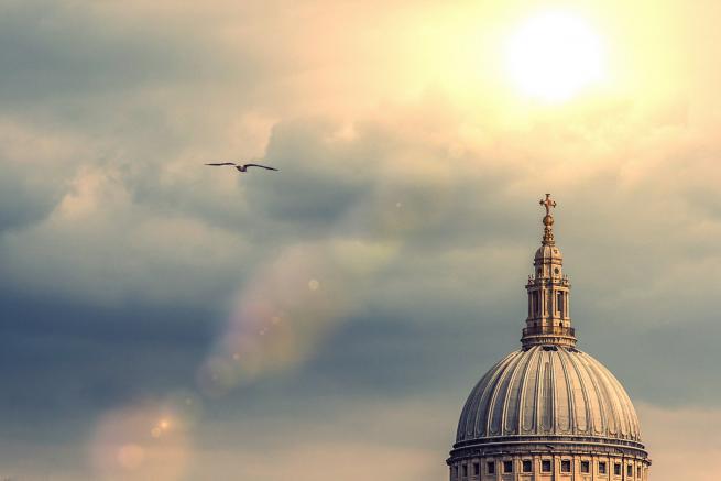 The dome of St Paul's with sunlight breaking through clouds and a bird flying in the foreground