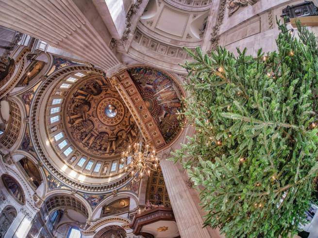 A view looking directly up at the Cathedral Dome with Christmas tree