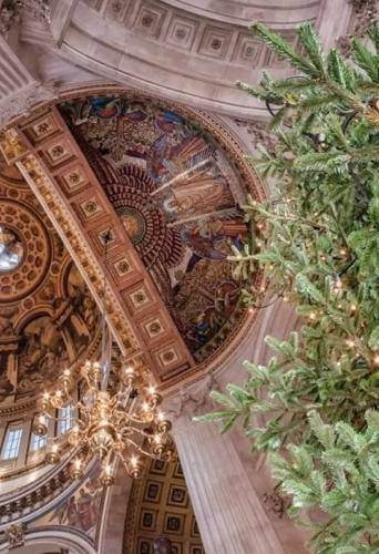 Looking up to the dome of St Paul's with the Christmas tree to one side