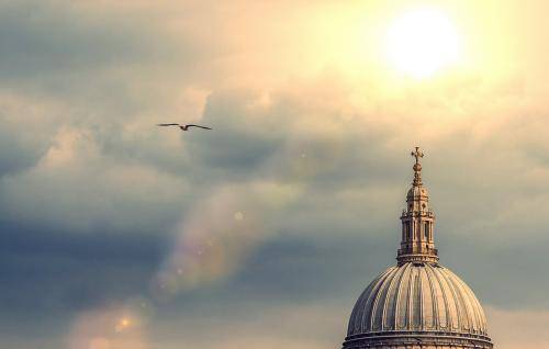 The dome of St Paul's with sunlight breaking through clouds and a bird flying in the foreground