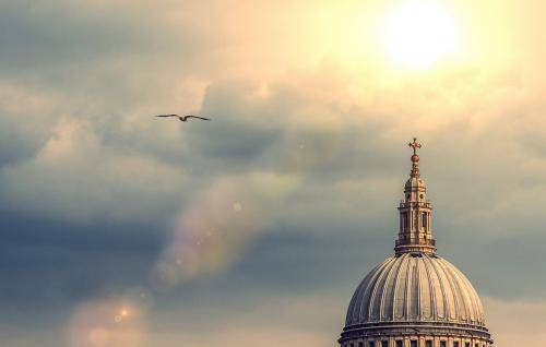 The dome of St Paul's with sunlight breaking through clouds and a bird flying in the foreground