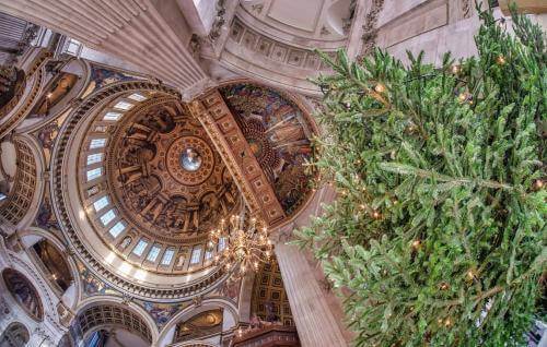 Looking up into the dome from the bottom of the Christmas tree