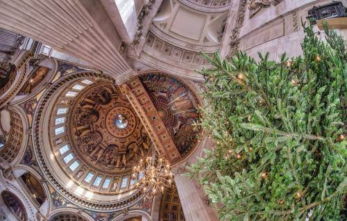 Looking up into the dome from the bottom of the Christmas tree