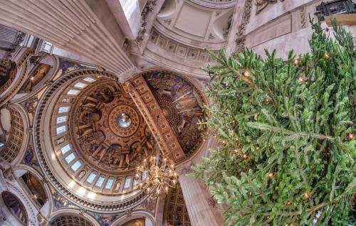 A view looking directly up at the Cathedral Dome with Christmas tree