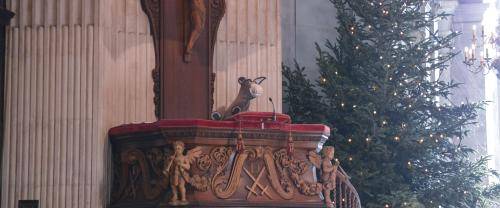 A donkey puppet in the pulpit of St Paul's